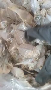 Unsalted Sapsap (Bitesize) Mixed