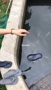 SandSo - Y33 Polos Flip Flops Sandal Capit Jepit Wanita Perempuan Flat Teplek Sendal Karet Rubber Jelly Empuk Lentur Slip On Slipper Flipper Tapak Sol Sole Slide Rumah Kamar Mandi Pantai Anti Air Licin Selip