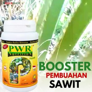 Pupuk buah sawit lebat: Pilihan terbaik