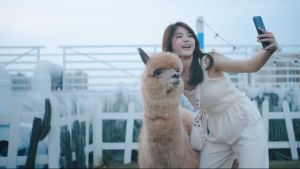 Gậy chụp ảnh tự sướng bluetooth Q07 có đèn LED trợ sáng tích hợp live steam chân đế tripod 3 chức năng Trùm Sỉ Gia Thành