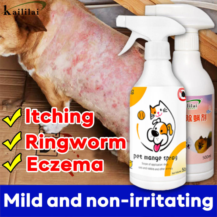 😻100% effective🐶BD Mange treatment dogs Pet skin treatment spray dog medicine for skin disease dog spray for ticks and fleas mange treatment dogs Solve dog dandruff, itching, fungus, lichen, hair loss, herpes, erythema and scabies.