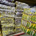BIN BIN Choco Bim Chocolate binbin bimbim jagung dua corn popcorn 40pcs x9g 玉米棒 玉米 零食. 