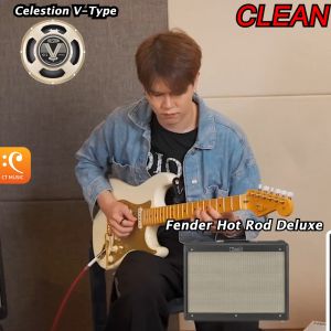 example: "Celestion ดอกลำโพง V-Type 8 ohm / 16 ohm