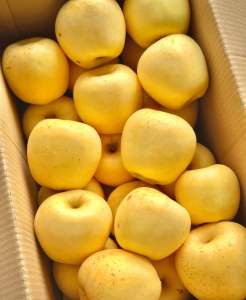 New Arrival Venus Golden Apple – Sweet Crisp & Refreshing