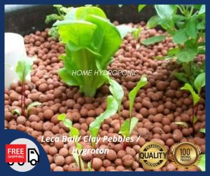 Leca Ball / Clay Pebbles / hydroton / hygro stone/ Hidroponic / Aquaponic