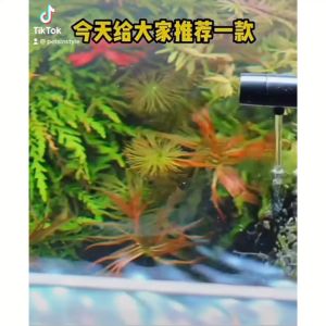 Ready Stock ‼️ Seabillion® 5 in 1 INTERNAL “UV LIGHT”FILTER AQUA PUMP