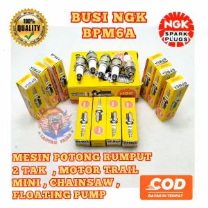 Busi mesin pemotong rumput 2T: Suku Cadang & Tips