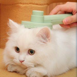 หวีแปรงขนสัตว์ หวีแปรงขนแมว หวีแมว หวีสุนัข หวีกำจัดขนสัตว์เลี้ยง ที่แปรงขนสัตว์เลี้ยง ที่แปรงขนแมว มีปุ่มดันขนออก