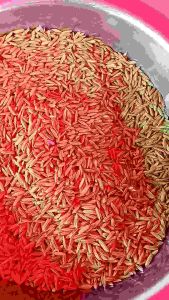 เมล็ดพันธุ์ข้าวสีชมพู