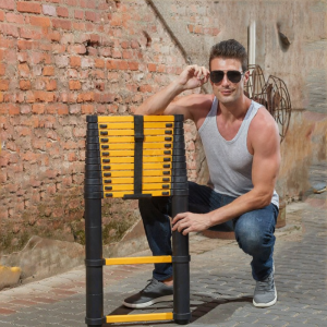 Adjustable Portable Ladder