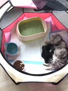 Cat Tent House Foldable Playpen for Dogs Cat Bed Washable Octagonal Dog Cage Pets Supplies Pet Fence