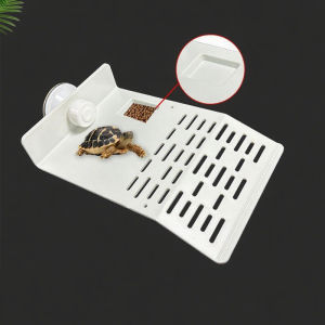 Turtle Basking Drying Resting Sun Platform Mat Dock Climbing Ladder for Amphibians and Reptiles Turtle Land Island Habitat