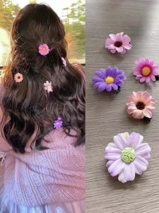 Sweet Soft Young Adult Spring and Summer Super Fairy Little Daisy Flowers Barrettes French Small Flowers Side Clip Hairpin Internet Famous Photo Taking Head Accessories