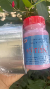 Combo keo liền sẹo và cuộn bạc cây cảnh bonsai