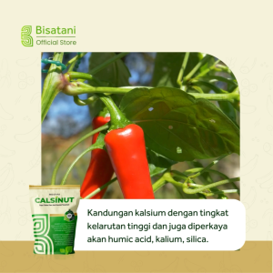 Calsinut 1Kg Nutrisi Anti Rontok Tanaman Bunga dan Buah Pupuk Kalsium Penguat Akar Batang Tanaman Pupuk Penyubur Tanah