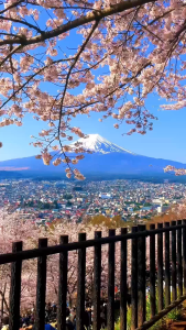 Sim 4G 5G Du Lịch Nhật Bản Osaka Tokyo - Data 2GB/Ngày Data Tốc Độ Cao –Xem Maps Livetream Video call Đăng Ảnh Thả Ga Không Lo Gián Đoạn - FREESHIP - CHƯA KÍCH HOẠT