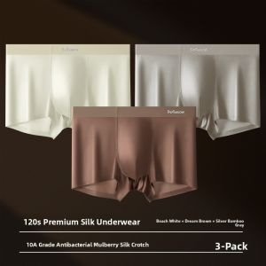 MiiOW | Luxurious Satin Mens Underwear Ice Silk 2025 New Style Mulberry Silk Antibacterial Crotch Boys Boxer Briefs Youth Nylon Fabric