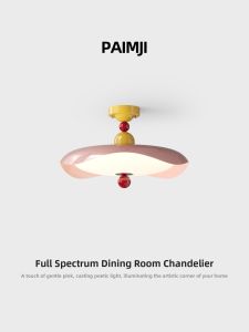 PAIMIJI | French Retro Style Eye-Protecting Ceiling Light for Home