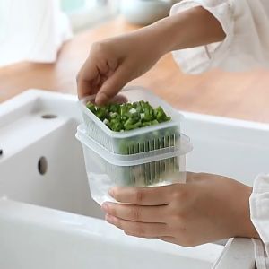 ECOWARE Rectangular Drain Sealed Box/ Ginger Garlic Onion Airtight Food Container /Storage Bekas Bawang Cili Tomoto