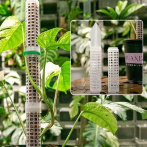 SANGMO | Plant Climbing Support