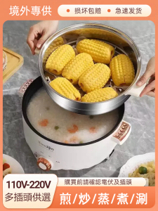 Export 110V V Electric Caldron Domestic Hot Pot Electric Food Warmer US Japan China Taiwan Canada Singapore
