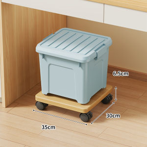 Portable Storage Organizer