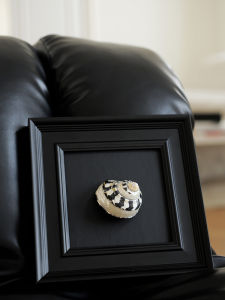 Natural Shell Specimen Decorative Painting Solid Wood Frame Home Decoration Creative Gift Retro 3D Hanging Artwork Seashell