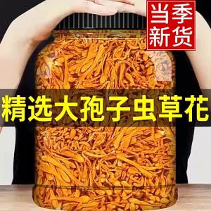 Sulfur Free Fresh Dry Cordyceps militaris