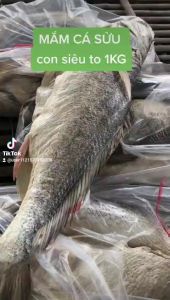 Mắm cá sửu (khô cá sửu) thơm ngon đậm đà  - 1kg và 500g250GR