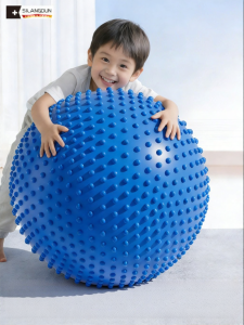SILANGDUN | Sensory Integration Training Large Ball Thicker