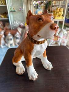 หมา หมาพิทบูล พิทบูลขาว ตกแต่งบ้าน จัดสวน