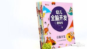 (全10册) Kids Enhance Brain Game Book 幼儿全脑开发游戏书2-6岁左右脑潜能开发游戏绘本 益智专注力训练