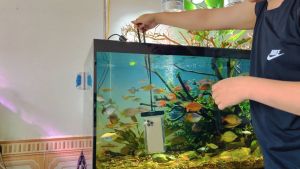 Túi chống nước UGREEN