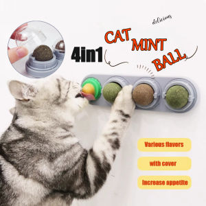 Cat’s Favorite Toy! Rotatable Catnip Ball 4 in 1 - Licks & Plays Reduces Tartar Reduces Boredom 猫薄荷 球 猫玩具猫咪玩具