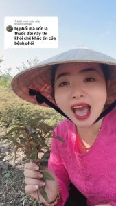 Trà Thảo mộc Cây Thuốc Dòi Tím (Cây Bọ Mắm) chuẩn thân tím - lá tím liệu trình 30 ngày hãm nước hàng ngày