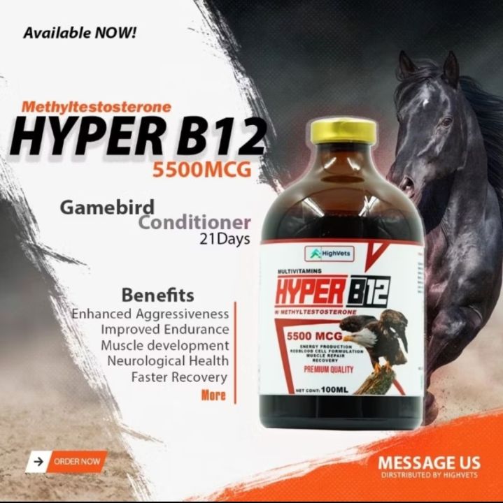 hyper B12 5500MCG (vitamin b12 +B15 W Methyltestos for rooster breeding and conditioning poultry) Vitamin B12+B15 For Poultry Farm Animals Vitamin Supplement 10Ml-200Ml Bottle Sizes - Lazada | Lazada PH hyper B12 5500MCG (vitamin b12 +B15 W Methyltestos for rooster breeding and conditioning poultry) Vitamin B12+B15 For Poultry Farm Animals Vitamin Supplement 10Ml-200Ml Bottle Sizes - Lazada | Lazada PH