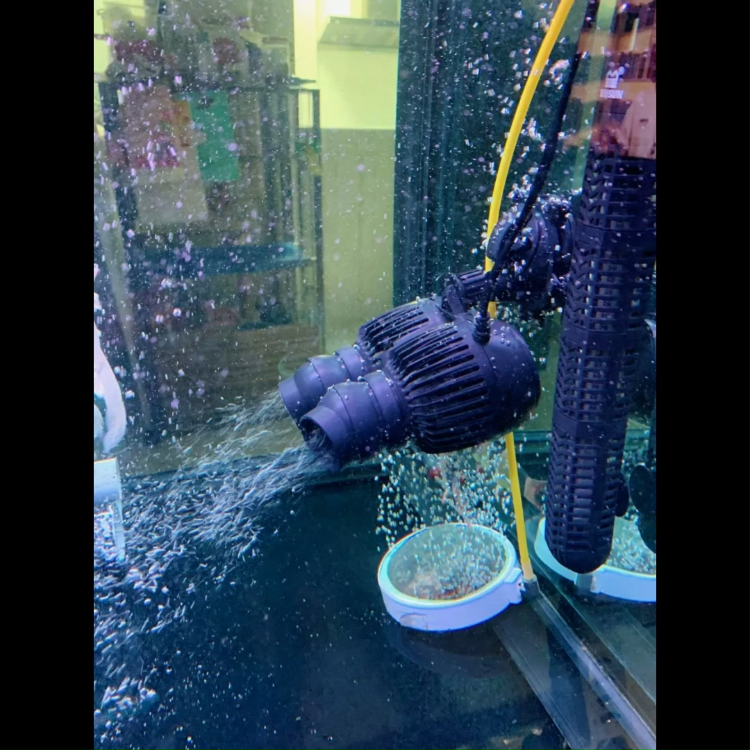 ปั๊มทำคลื่นหรือเป่าตะกอน ขี้ปลาก้นตู้ SOBO  WP-300M  WP-800M