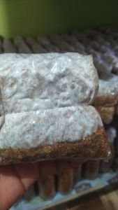 Bibit jamur Media milet lebih mudah nginok