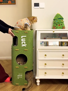 คอนโดแมว บ้านแมว ปราสาทแมว บ้านมีรู 2ชั้น 3ชั้น ตึกแมว บ้านซ่อนตัว อุโมงค์แมว บ้านแมวขนาดใหญ่ ส่งของในไทย