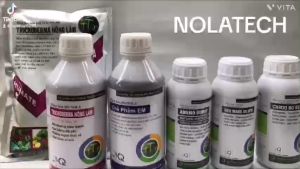 TRICHODERMA NÔNG LÂM- THÙNG 20 GÓI 1KG - MEN Ủ PHÂN HỮU CƠ KIỂM SOÁT MẦM BỆNH CÂY TRỒNG