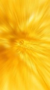 9 YOUNG-BASIC Vitamin C+E Chewable Tablets for Whitening/Antioxidant/Enhance Immunity