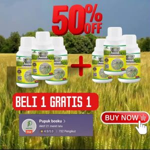 bubuk killgrass panda herbisida biologis beli 1 gratis 1