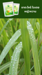 ชาตะไคร้ใบเตยหญ้าหวาน ตราไร่กฤติยา ( Lemongrass Pandan Stevia Blended Tea)