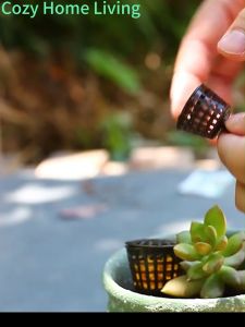 Modern 50PCS/Plant Fertilizer Basket with Lid Fertilizer Dispenser Kit Small Flowerpot Cup Plant Growth Supplies