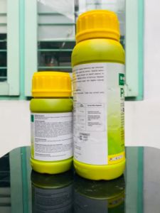 Pengendali Gulma PROWL 330EC dari Basf Indonesia