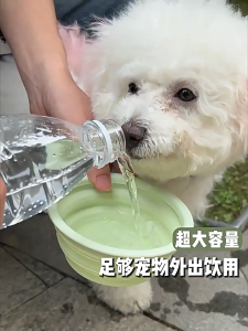 HOVELSHOP Baskom Mini SIlikon Lipat Portable Wadah Makanan Kucing Anjing Ember Travel Teleskopik