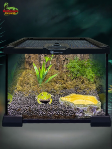 Tailwise | Glass Rainforest Terrarium Ecological Cage