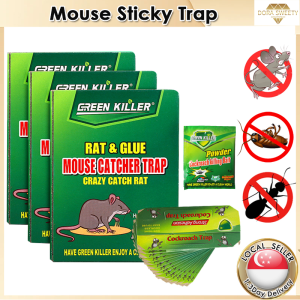 🇸🇬Strong Sticky Mouse & Rat Traps Mouse Board Rat Board Traps Glue Catch Rat catcher Rodent Bait Glue BoardTraps Anti bait