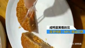 广式月饼 中秋月饼 Cantonese Egg Yolk Lotus Paste Mooncake Gift Box Multi-flavor Bean Paste Five Kernels Mid-Autumn Mooncake