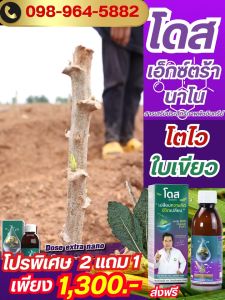 Dose Extra Nano โดส เอ็กซ์ตร้า นาโน ฮอร์โมนพืชสำหรับไม้ผล อาหารเสริมพืช เร่งผลผลิต เร่งใบ เร่งต้น เพิ่มผลผลิต 690